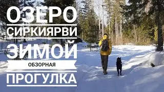 Озеро Сиркиярви зимой. Обзорная прогулка. | Прогулки по Ленобласти.