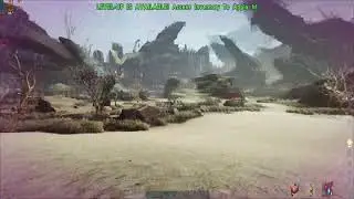 ase ark soloplay