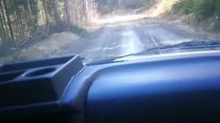 In the woods (Tripaloski style) part 3