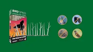 Stainless Steel Pre-Assembled Bird Spikes 10 Feet (3 Meters)