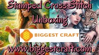 Biggestcraft 2 of 2#biggestcraft #stampedcrossstitch #flosstube #unboxing