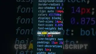 What languages to learn for Web Development in 2024