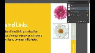 Trabalhando com o Painel Links do Illustrator