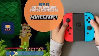 How To Use the Nintendo Switch Controller In Minecraft