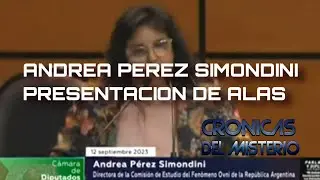 Andrea Perez Simondini exponiendo en la cámara de Diputados de México