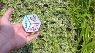 Magic Floating Cube -- Optical Illusion