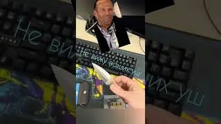 Ну где же ушки, ну где же ваши ушки? #балаклава #2024 #топ #стетхем #против_лгбт #лгбт #нож #шип #ëж