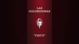 Las Golondrinas Chico - Mayday