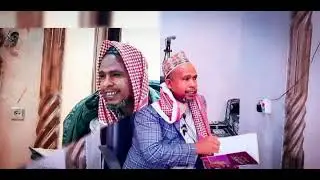 Dhaaltu ambiiya