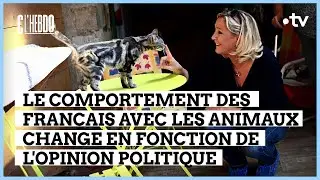 Chiens et chats : de gauche ou de droite ? - C l’hebdo - 09/12/2023