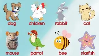 Bé học tiếng Anh Các con vật | Bé tập nói Con gì đây? | Oh Vui Kids