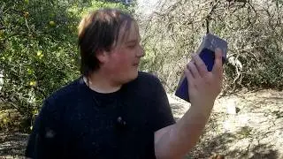 foraging