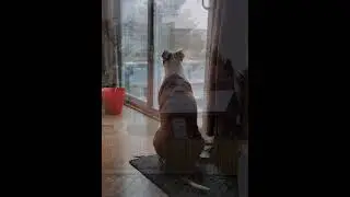 From Rain To HAIL sNOw!😱 