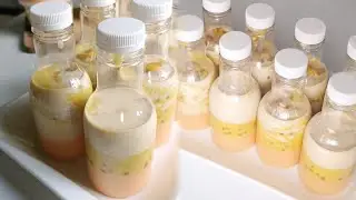 MUMPUNG MUSIM MANGGA, Ayo Bikin Minuman Segar dan Creamy - PUDING SEDOT MANGO SAGO