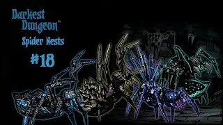 Darkest Dungeon | Прохождение с модами | Прямиком в паучьи сети!