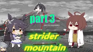 Strider Mountain COOP - Part 3