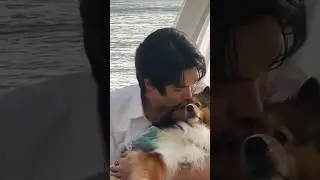 Papa & N'Cartier interaction #winmetawin #metawin #dogs #papa #kids #cute #bunny#interaction#shorts
