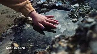 Best Cinemagraphs of August 2021| Flixel