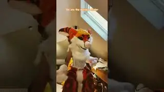 We are the weirdos mister 