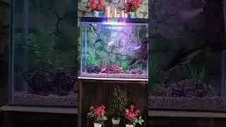 cool cool🐠🐟👌