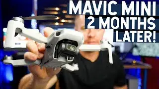 DJI MAVIC MINI 2 MONTH REVIEW!