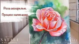 Процесс написания розы акварелью.