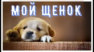 С. Михалков 