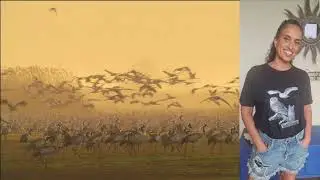 ניגע אל החלום - אחינועם ניני