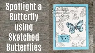 How to Spotlight a Butterfly - Sketched Butterflies