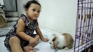 bermain bersama Mimi dan momo