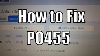 P0455 EVAP System leak Detected- Large Leak 
