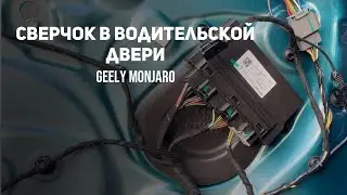 Устраняем мелкий бесячий сверчок/ дребезг в водительской двери Джили Монжаро/ Geely Monjaro
