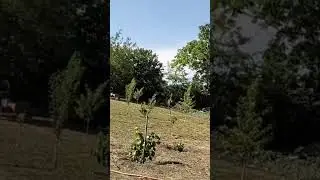 #Огород#работа