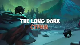 ВЫПОЛНЯЕМ АЧИВКУ ДОТОШНЫЙ КАРТОГРАФ В THE LONG DARK!