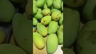 DELICIOUS CRUNCHY MANGOES MANGA.