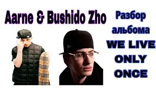 Разбор альбома we live only once