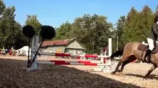 Кавалетти. Лошадь. Футаж