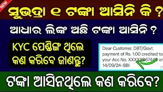 Subhadra Yojana Testing Money // Subhadra Money Credited Problem // Subhadra Yojana Online Apply
