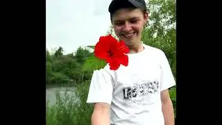 Вася