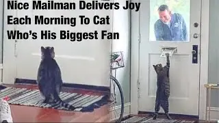 "Friendly Mailman Brightens Cat’s Day with Morning Deliveries"