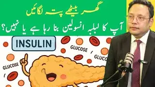 Is Your Pancreas Making Insulin? Check at Home! Dr Mahboob Ahmad 