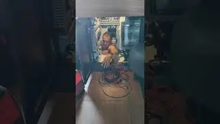 Кина не будет. Электричество кончилось!
