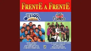 Bailando De Jalón