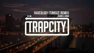 DVBBS & VINAI - Raveology (Tomsize Remix)