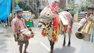 Alaipayuthe പാട്ടിന് ചുവടുവച്ച് കാള 🌿|Bengaluru Days | #alaipayuthe #ox #dance #bengaluru #trending