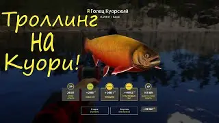 Троллинг на Куори. Куорец есть! рр4