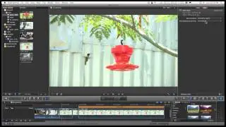 Final Cut Pro X (FCPX) and built in Deinterlacing - where to find it