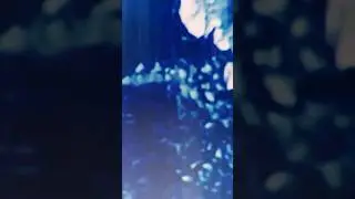 Страшный аудиорассказ о мальчике, у которого не было лица 😰. Продолжение аудиорассказа у нас 👇🏻