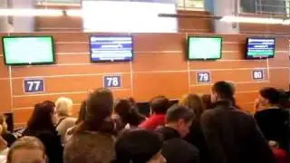 Шереметьево, терминал D
