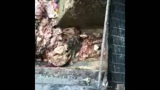 What happens to meat scraps?